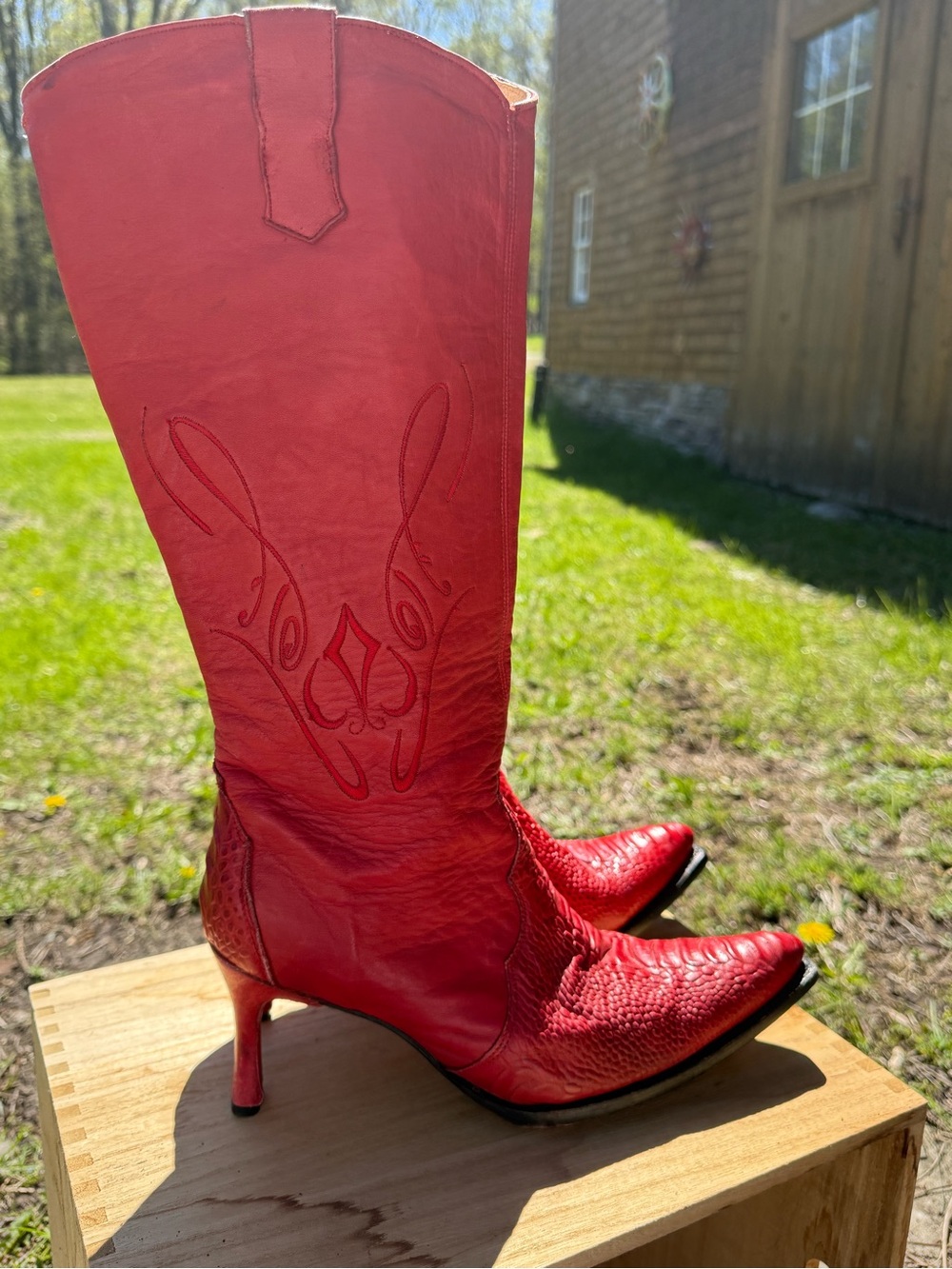RUDEL Red Pointed-Toe Western Heeled Boots
